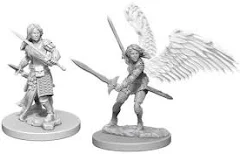Aasimar Paladin